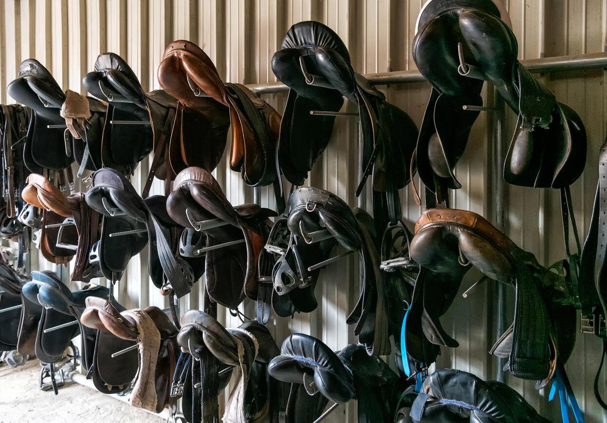 Saddles feature_img